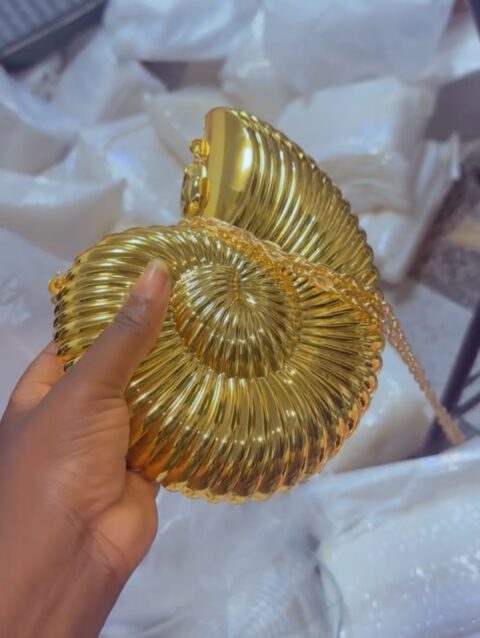 Snail clutch purse